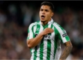 cucho hernandez fichaje barcelona barca real betis mercado verano refuerzos contrataciones delantera reemplazo lewandowski goleador oferta barato joan laporta deco pellegrini