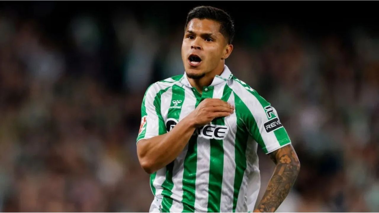 cucho hernandez fichaje barcelona barca real betis mercado verano refuerzos contrataciones delantera reemplazo lewandowski goleador oferta barato joan laporta deco pellegrini