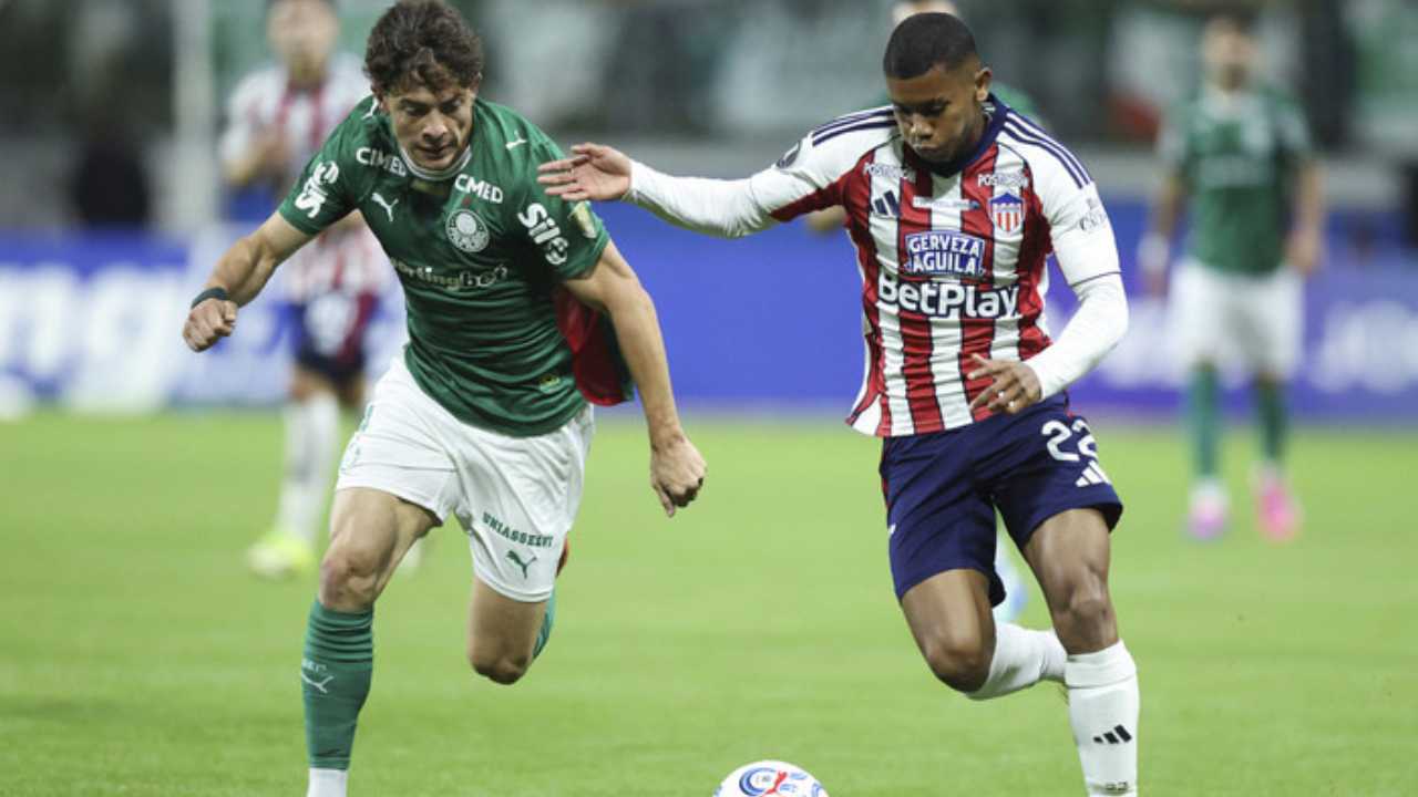 jesus david rivas atletico nacioanal millonarios mercado pases fichajes refuerzos contrataciones contratados incorporaciones nuevos bolsa jugadores futbolistas oferta altas bajas salen llegan futbol profesional colombiano fpc liga betplay dimayor colombia colombiano transferencias transferidos ventana fichado