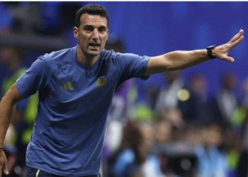 lionel scaloni entrenador director tecnico argentina mundial 2026 copa mundo mundial fifa estados unidos mexico canada selecciones clasificatorias fifa sedes estadios fixture mundialistas
