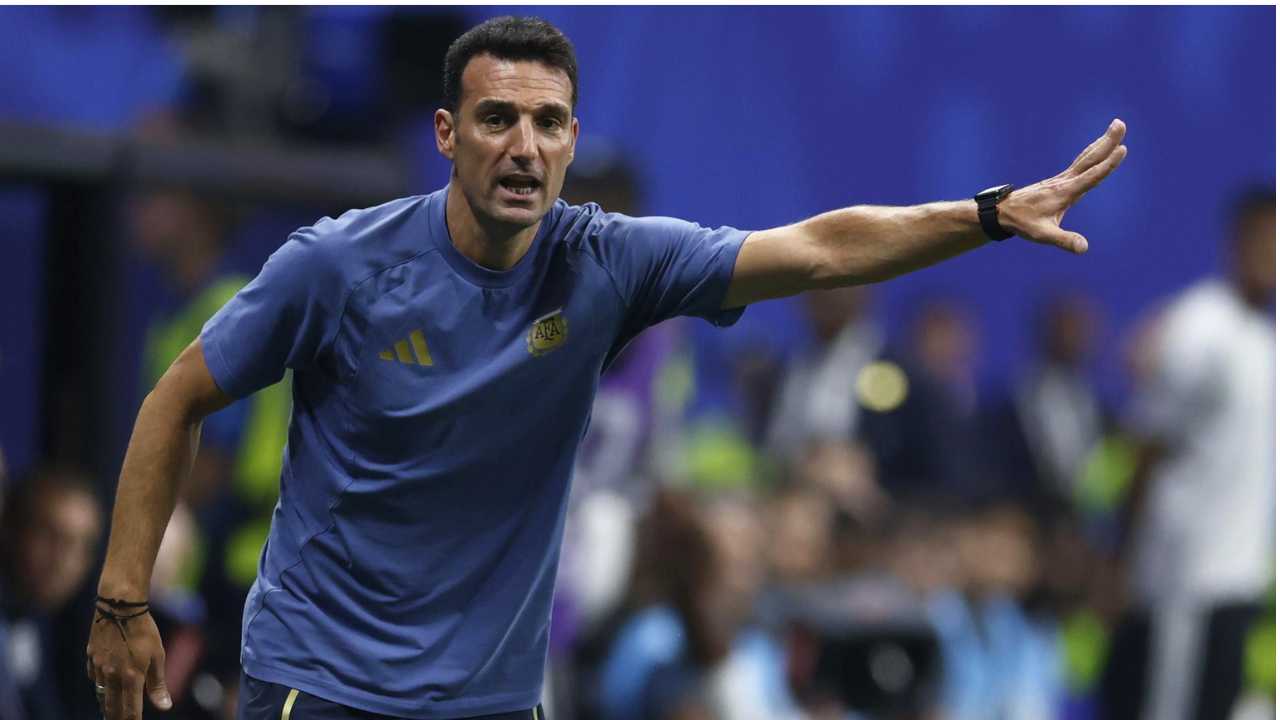 lionel scaloni entrenador director tecnico argentina mundial 2026 copa mundo mundial fifa estados unidos mexico canada selecciones clasificatorias fifa sedes estadios fixture mundialistas