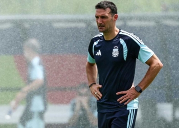 lionel scaloni director tecnico entrenador argentina mundial 2026 copa mundo mundial fifa estados unidos mexico canada selecciones clasificatorias fifa sedes estadios fixture mundialistas