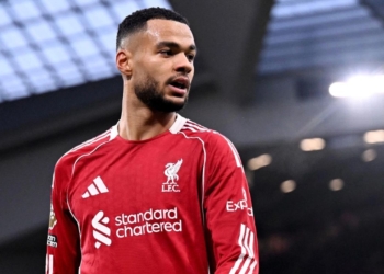 cody gakpo fichaje tottenham manchester city liverpool premier league