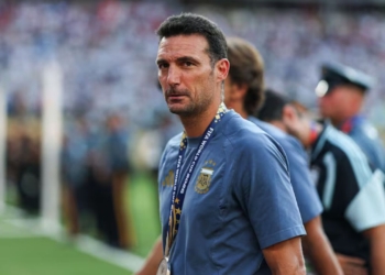 seleccion argentina lionel scaloni entrenador director tecnico renovacion afa